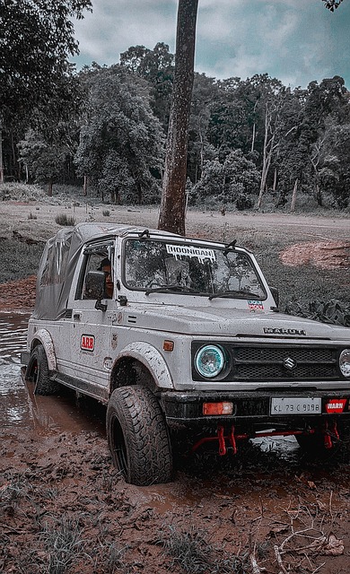 级俱乐部的 级俱乐部的