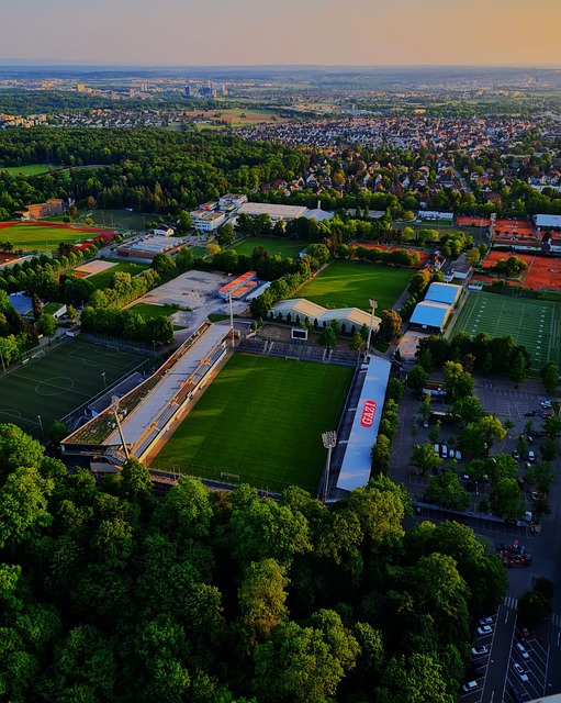 体育的盛宴 体育的盛宴