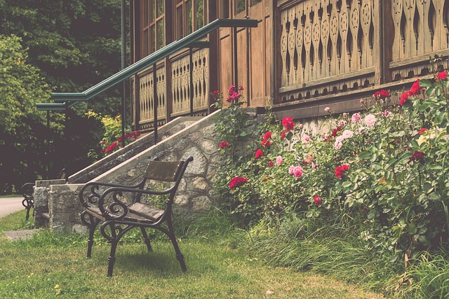 整体优势 整体优势