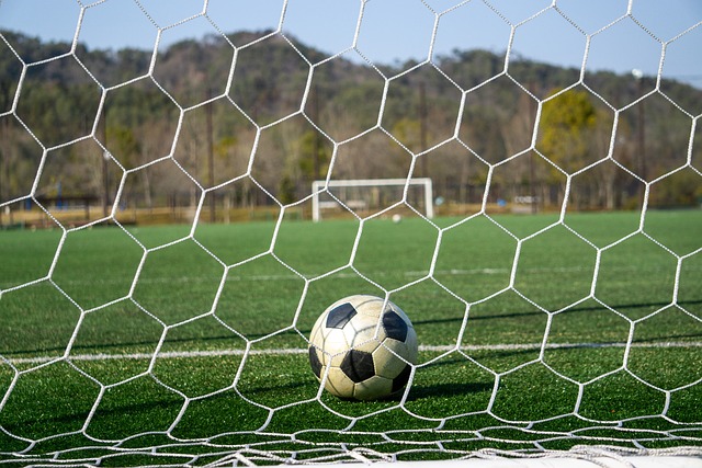 析可以发现 析可以发现