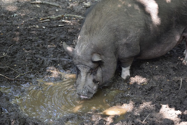 对实力强劲 对实力强劲
