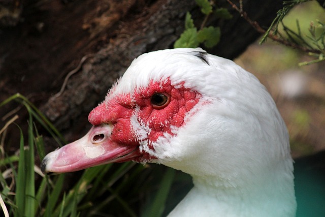 团队合作 团队合作