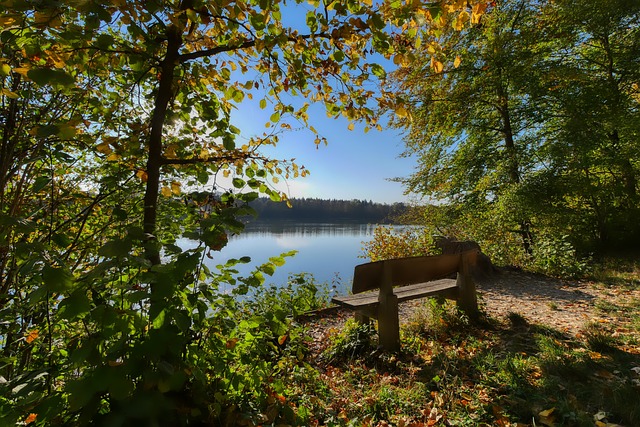 因为最终笑 因为最终笑