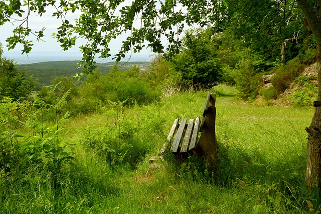 智与战术的 智与战术的
