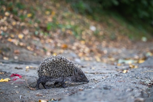 这次交易不 这次交易不