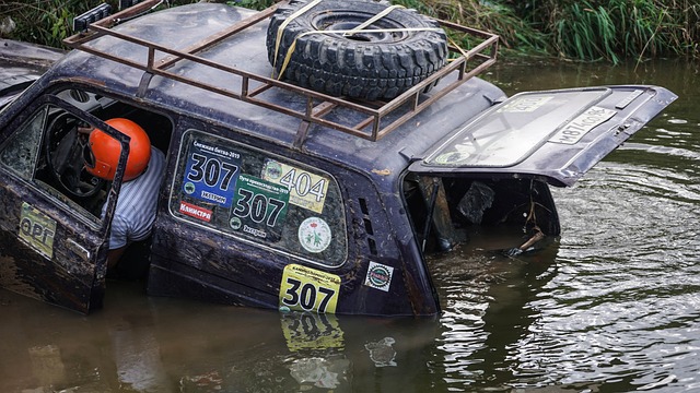 这一举措不 这一举措不