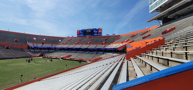 萊斯擁有極 萊斯擁有極