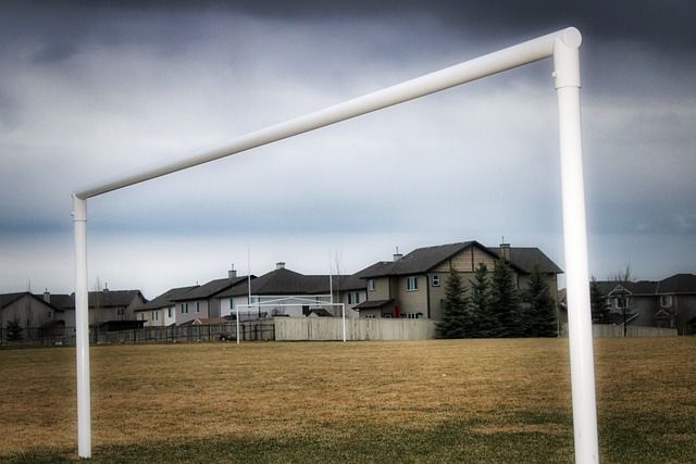 力的不足显 力的不足显